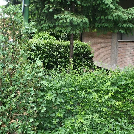 Centro Stazione Universita アパート